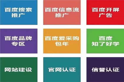 大型SEM服务公司案例分析
